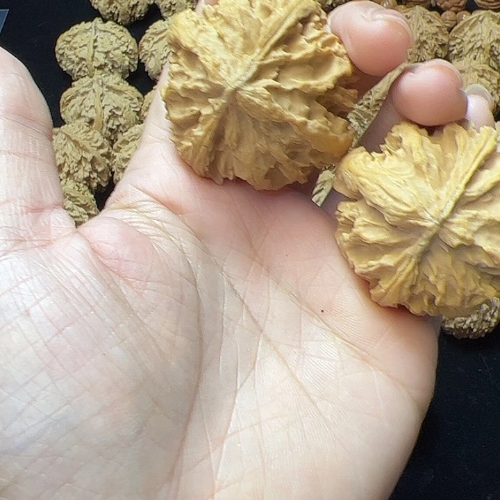 文玩核桃把件秦岭植物核桃