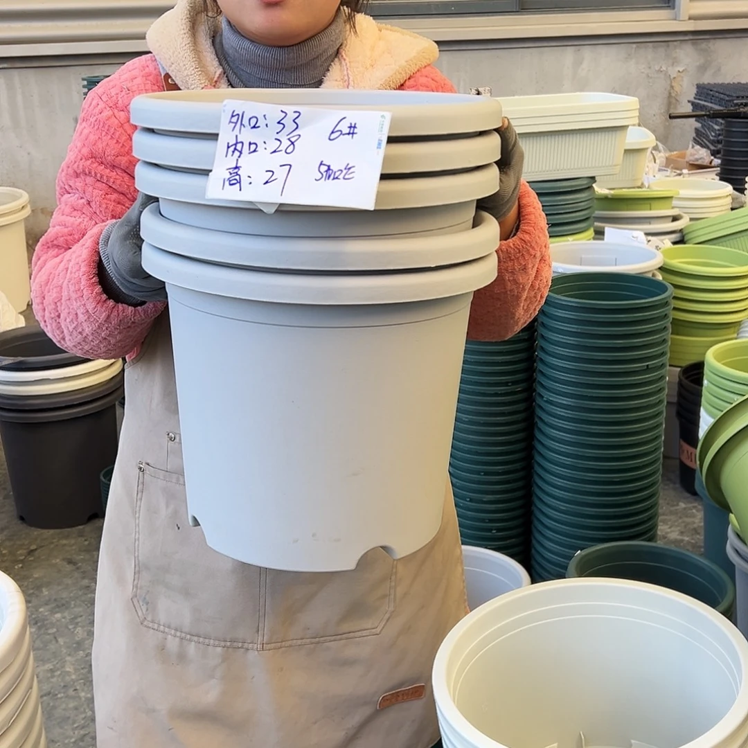 四季盆6#灰白色5个无托