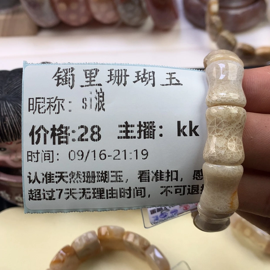 【闪购商品】颈饰未镶嵌硅化珊瑚（珊瑚玉）s*浪
