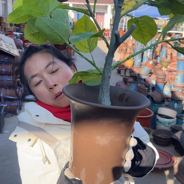21促销紫泥花盆花盆