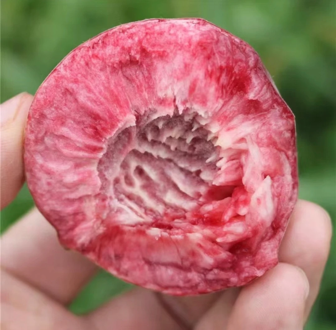 老家血桃胭脂红血布袋现摘现发