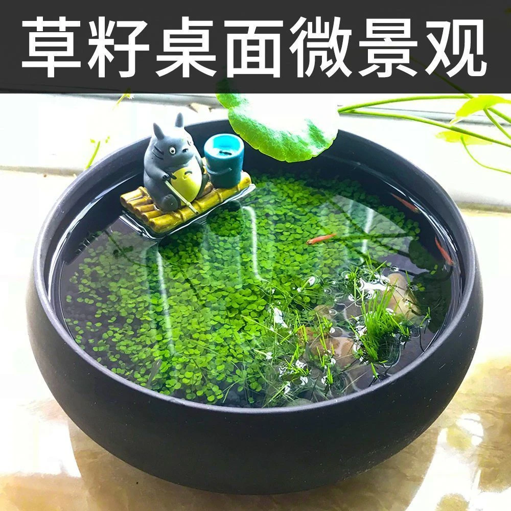 .2025陶粒砂水草泥陶粒沙鱼缸底砂草缸水族造景铺底养水草种子底