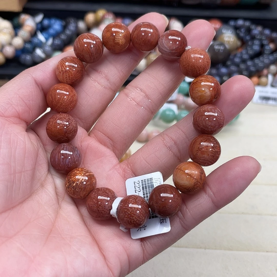 未镶嵌手串硅化珊瑚（珊瑚玉）898