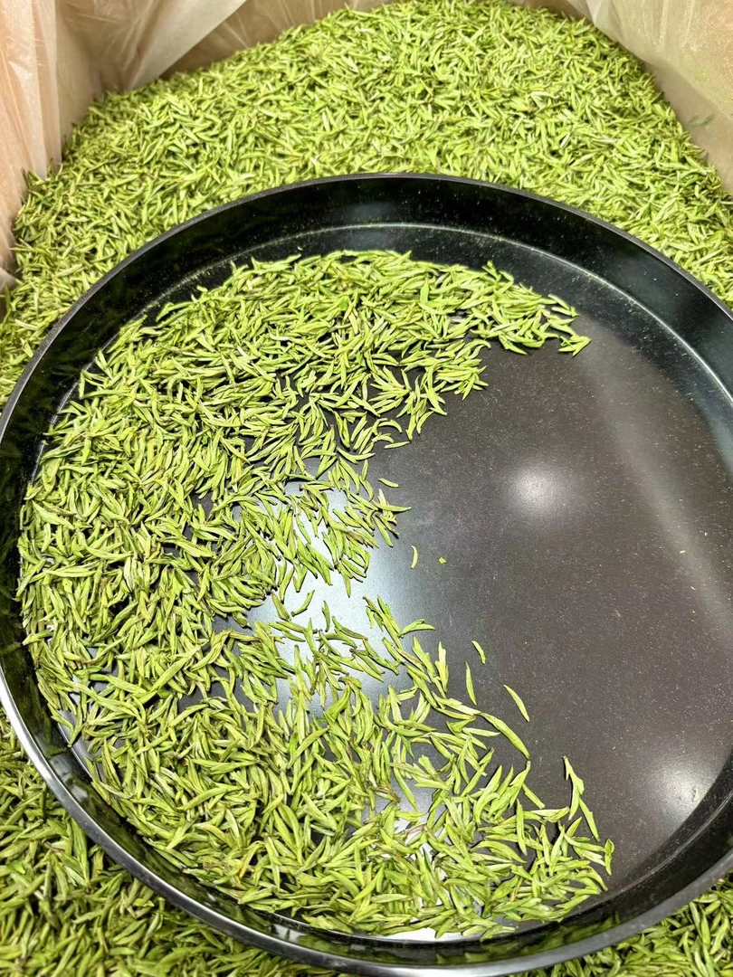 25年  新茶 头采小嫩芽毛峰  绿茶