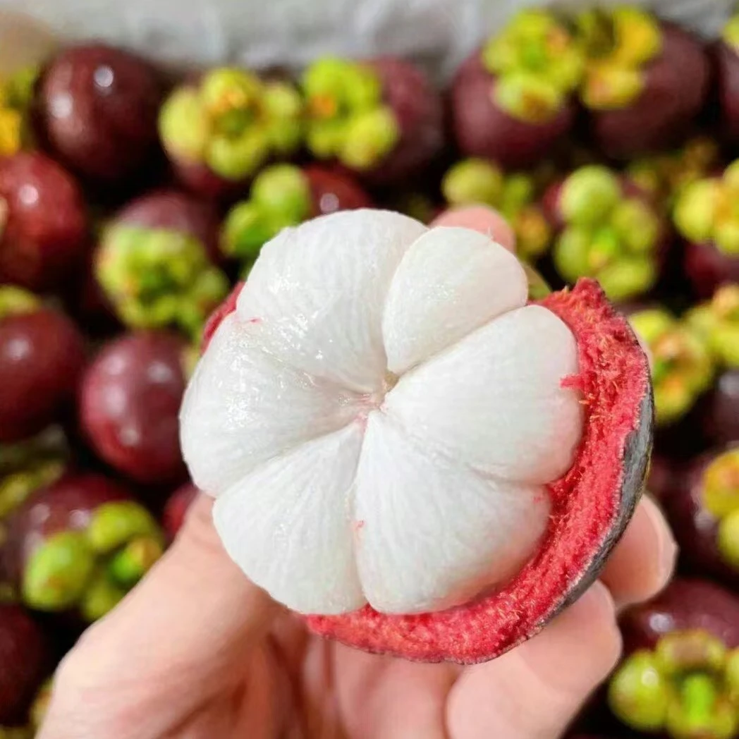 【超级新鲜】6A山竹-约1公斤