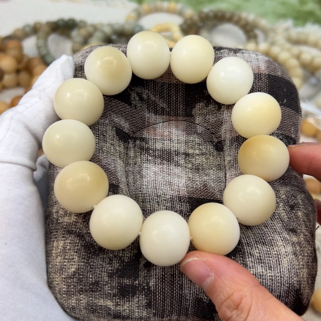 菩提根/象牙果吊坠微瑕特价166