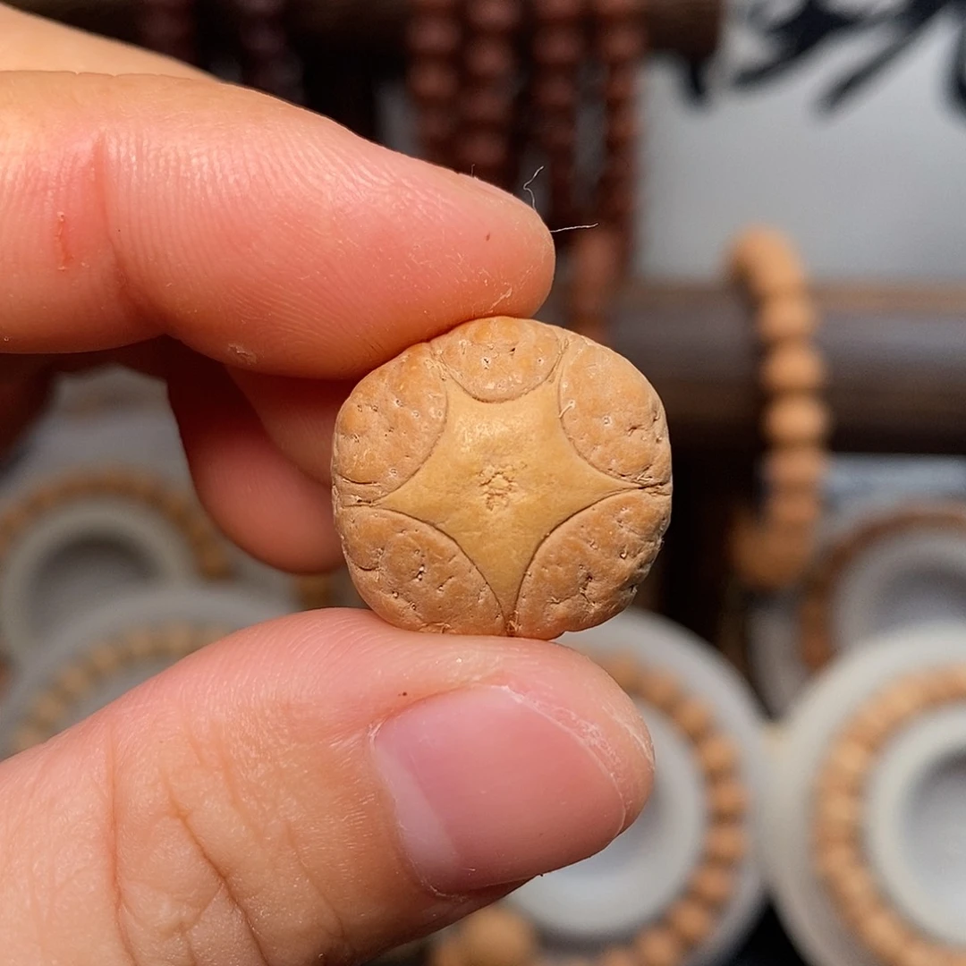 手串凤眼菩提五星