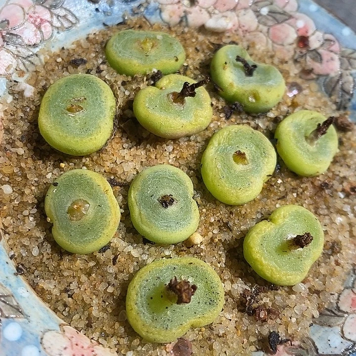 多单头水晶鞋一颗。