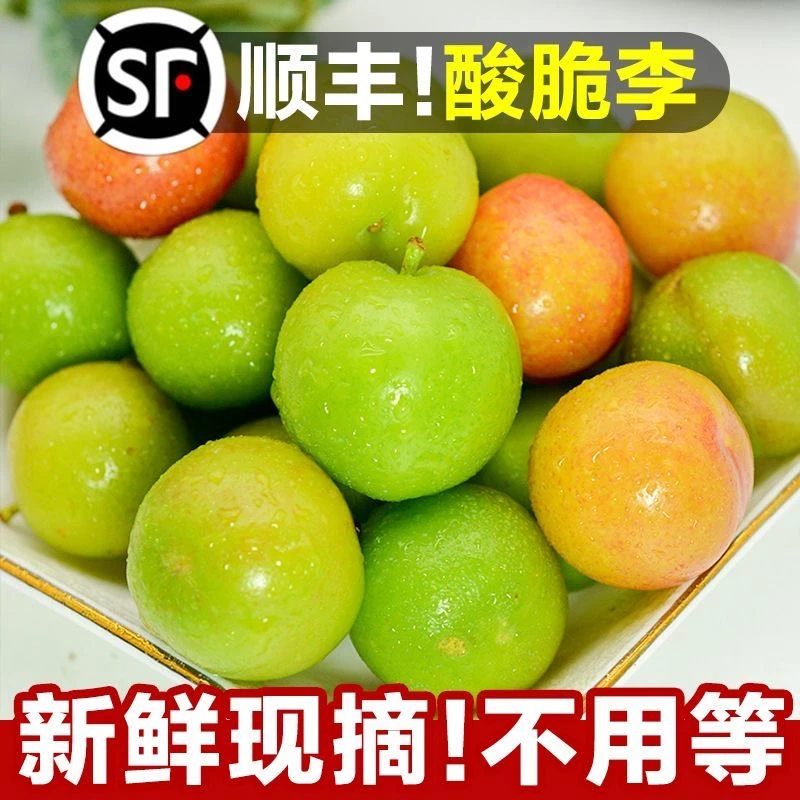 【顺丰包邮】三月李子酸脆李子新鲜孕妇水果酸李子非三华李