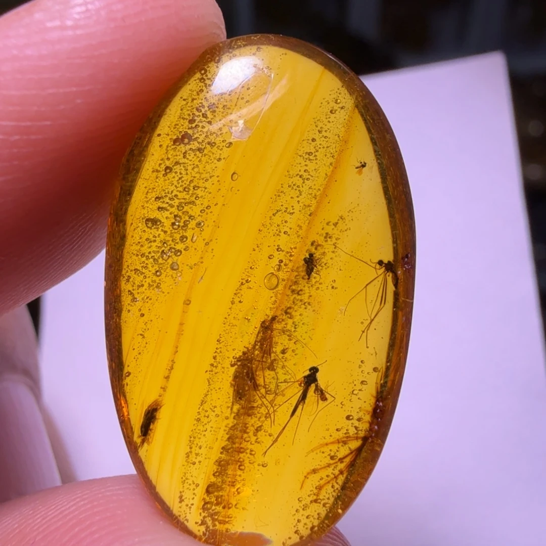 琥珀未镶嵌裸石116