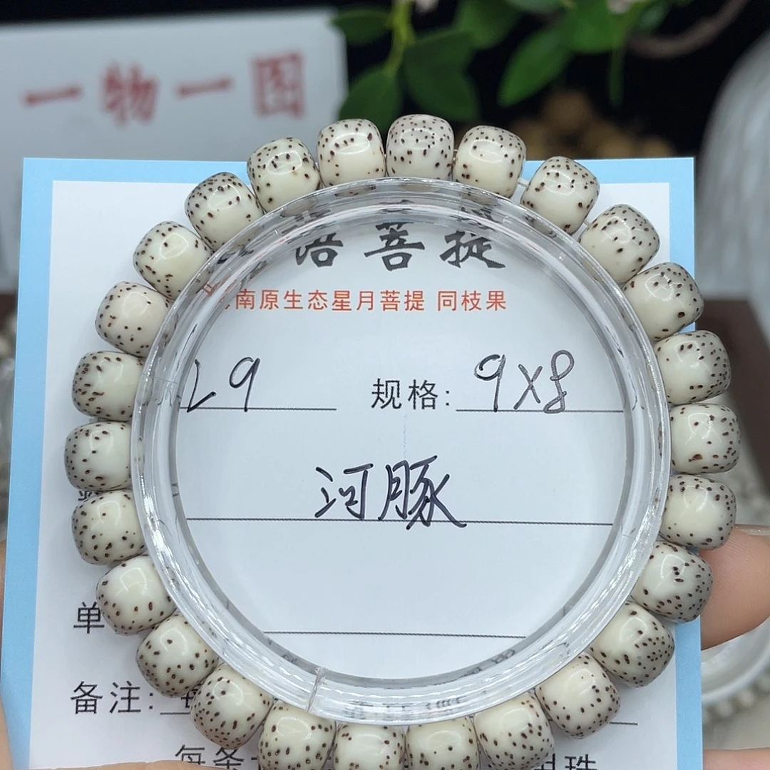 星月菩提手串河豚