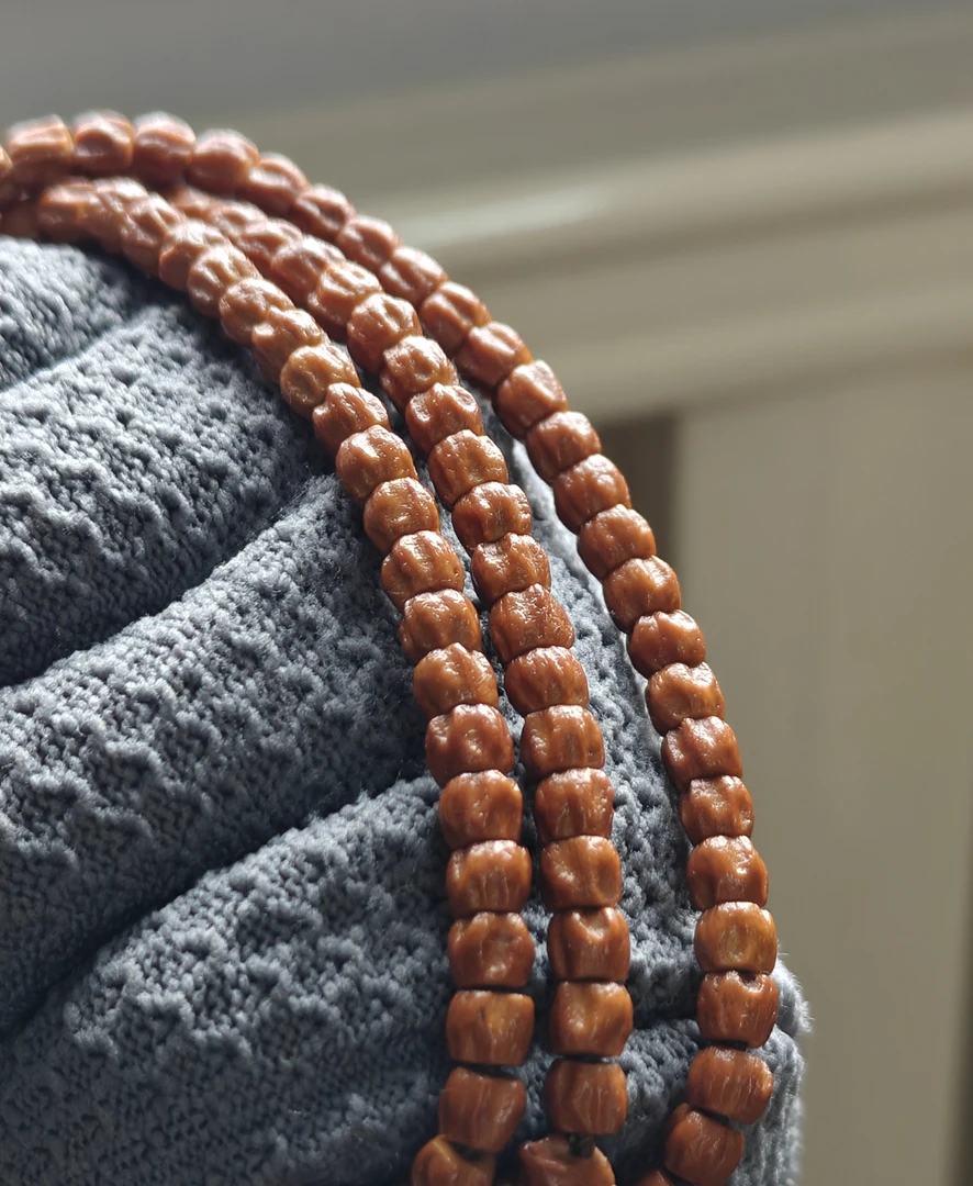 火莲，热振小尺寸莲花多棱方块顺鬼柏香籽