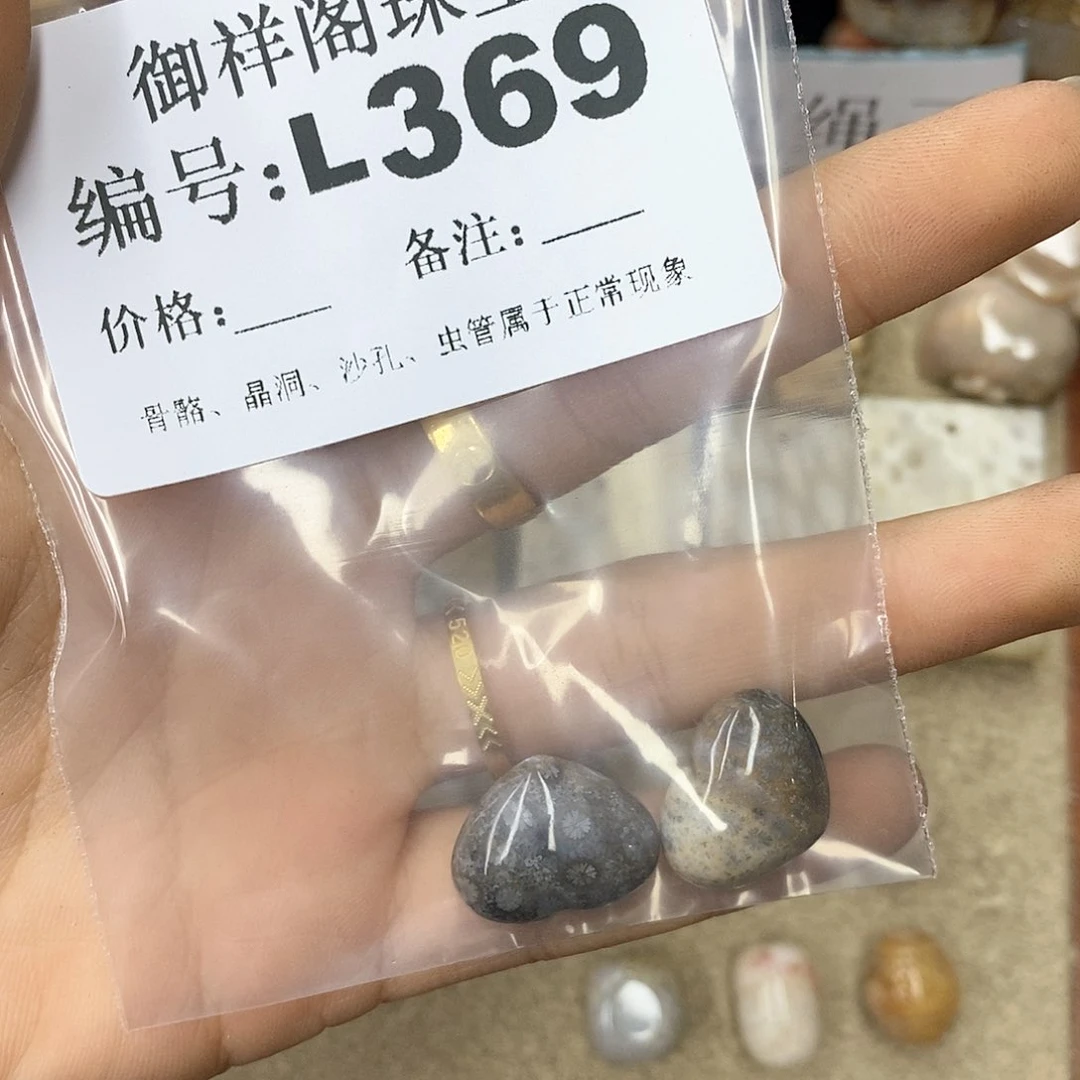 硅化珊瑚（珊瑚玉）n未镶嵌h*h