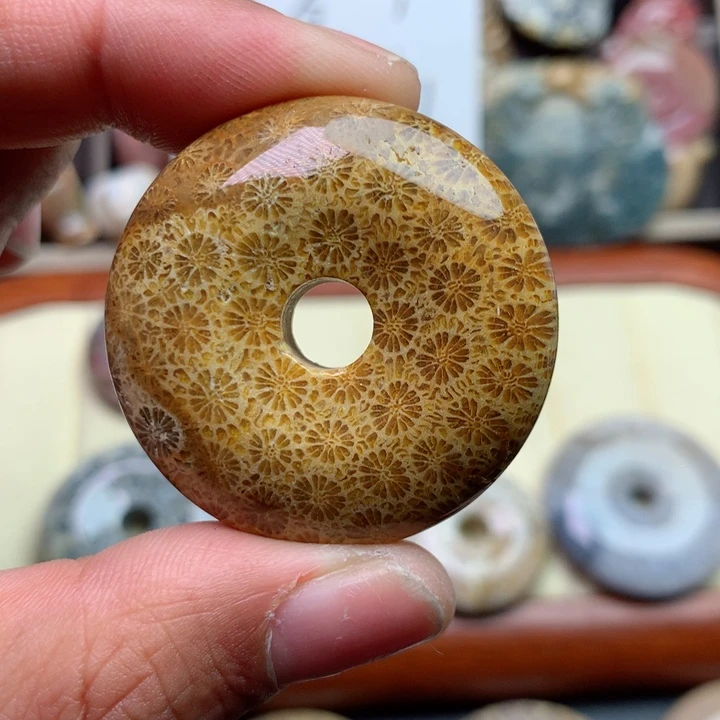 硅化珊瑚（珊瑚玉）颈饰未镶嵌