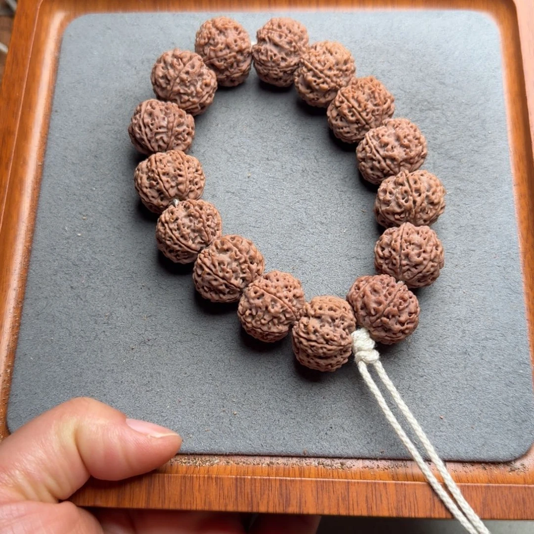 菩提菩提9号尼泊尔大金刚21+六瓣梅花