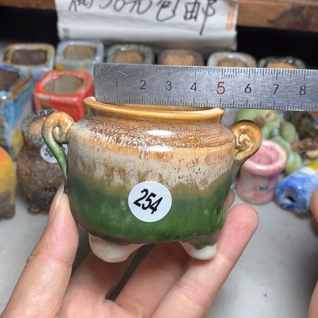 拍5送一个小礼物