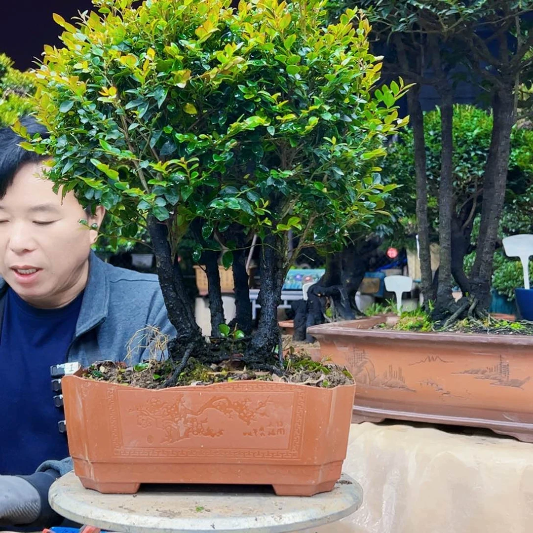 以实际为准用****5，12345678