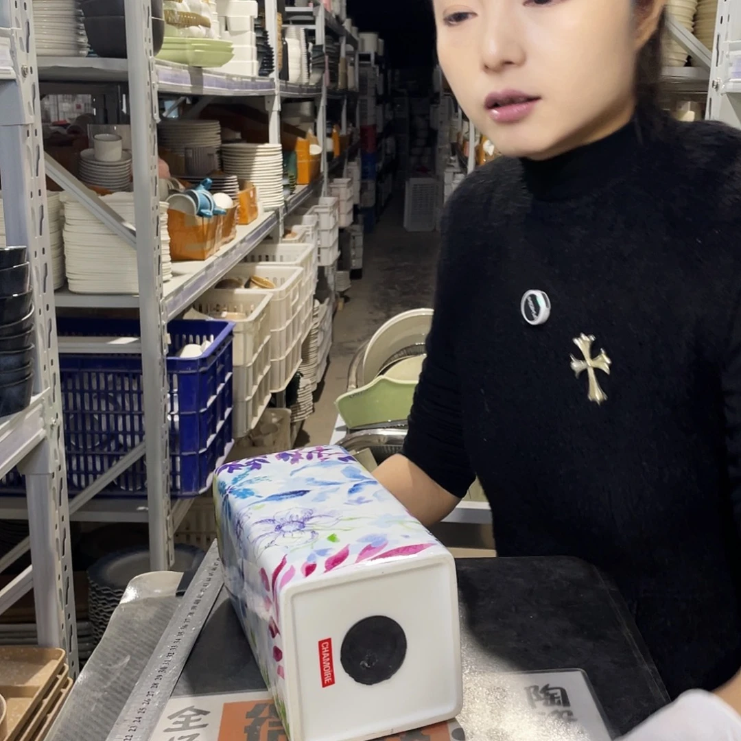 瓷片202                1个