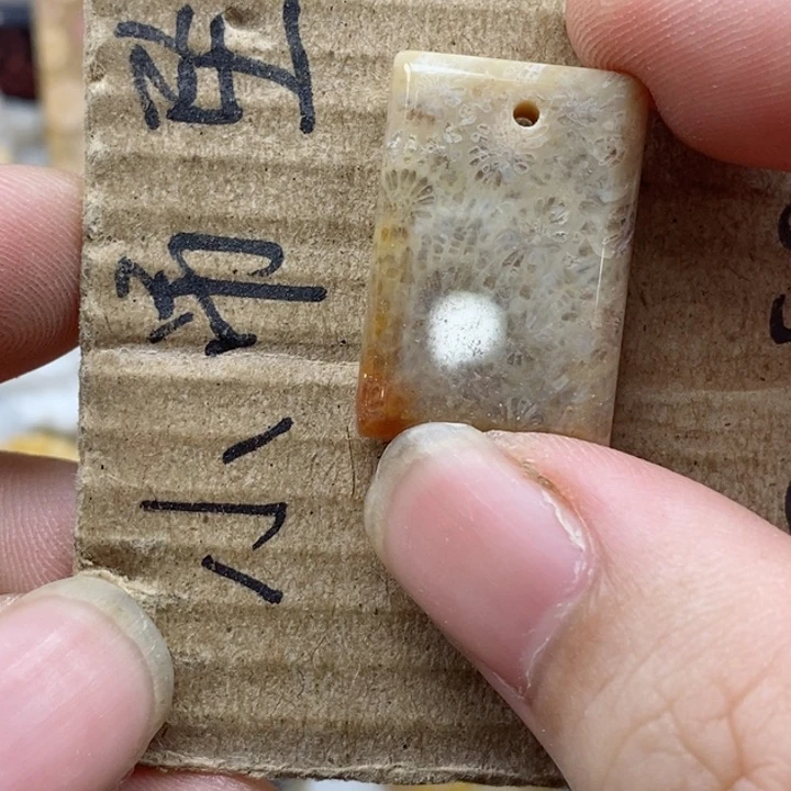 颈饰未镶嵌硅化珊瑚（珊瑚玉）你*道