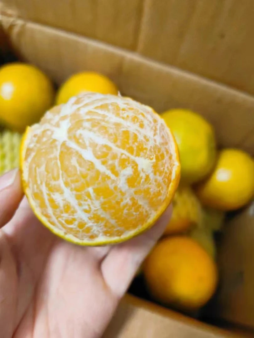 皇帝贡柑5斤装箱装