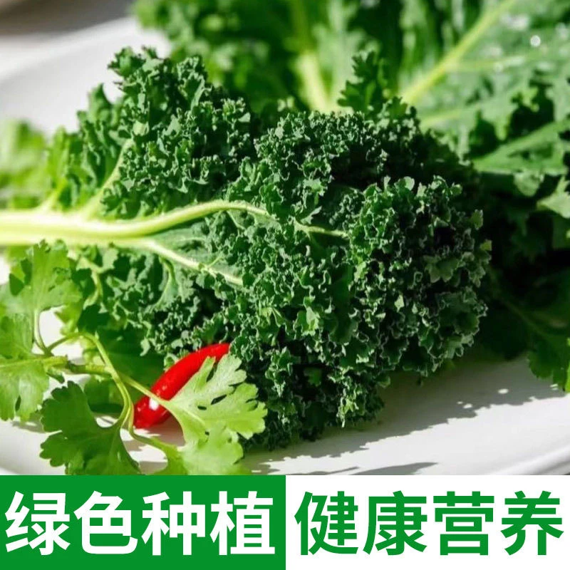 【顺丰包邮】新鲜羽衣甘蓝嫩叶蔬菜健身轻食榨汁凉拌西餐沙拉食材