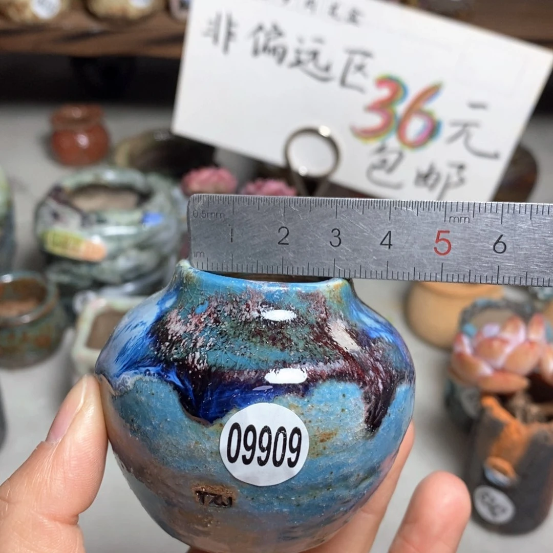花盆拍5送一个小礼物