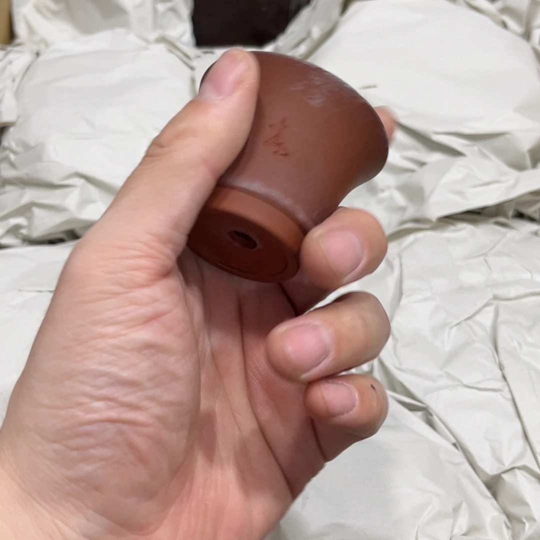 小***强茶茶茶茶茶茶茶茶茶