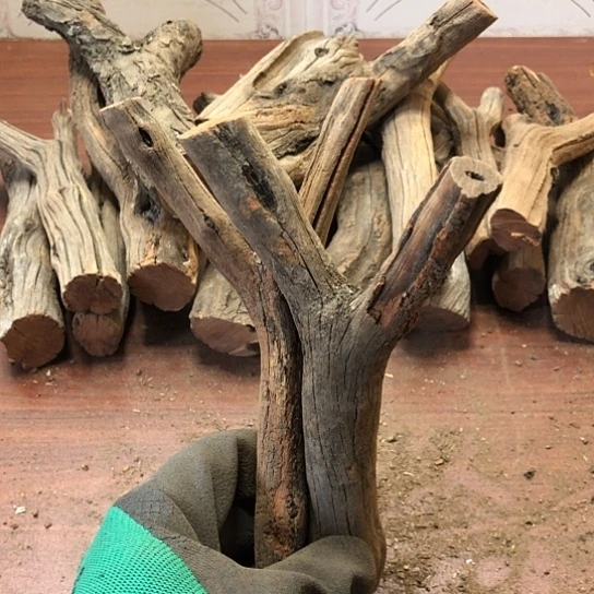 大果紫檀（缅甸花梨）凌*