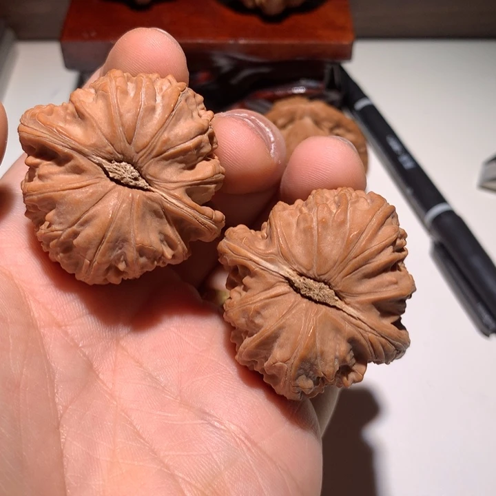 把件文玩核桃咸**人白狮子