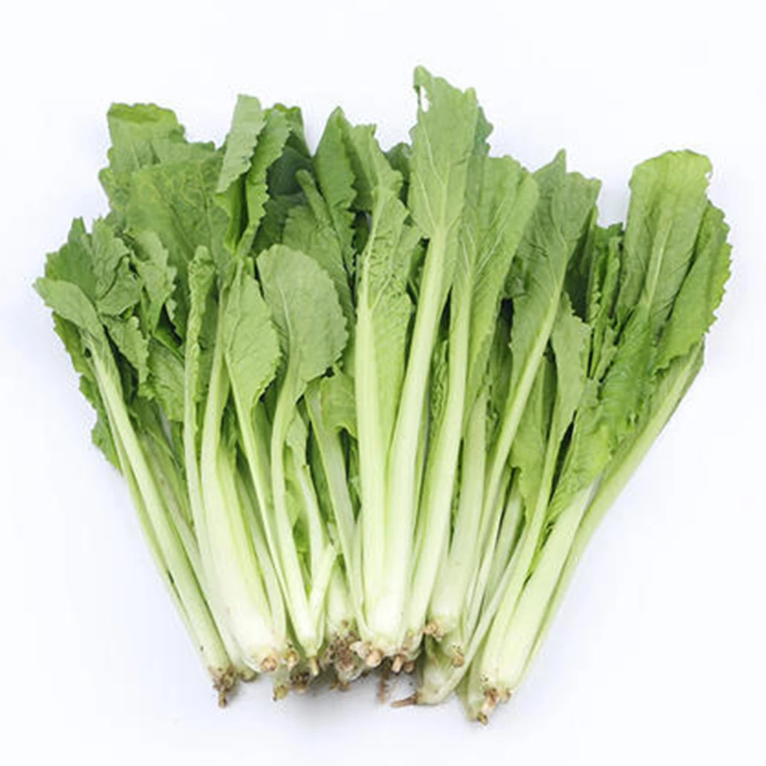 新鲜毛白菜500克/份白菜