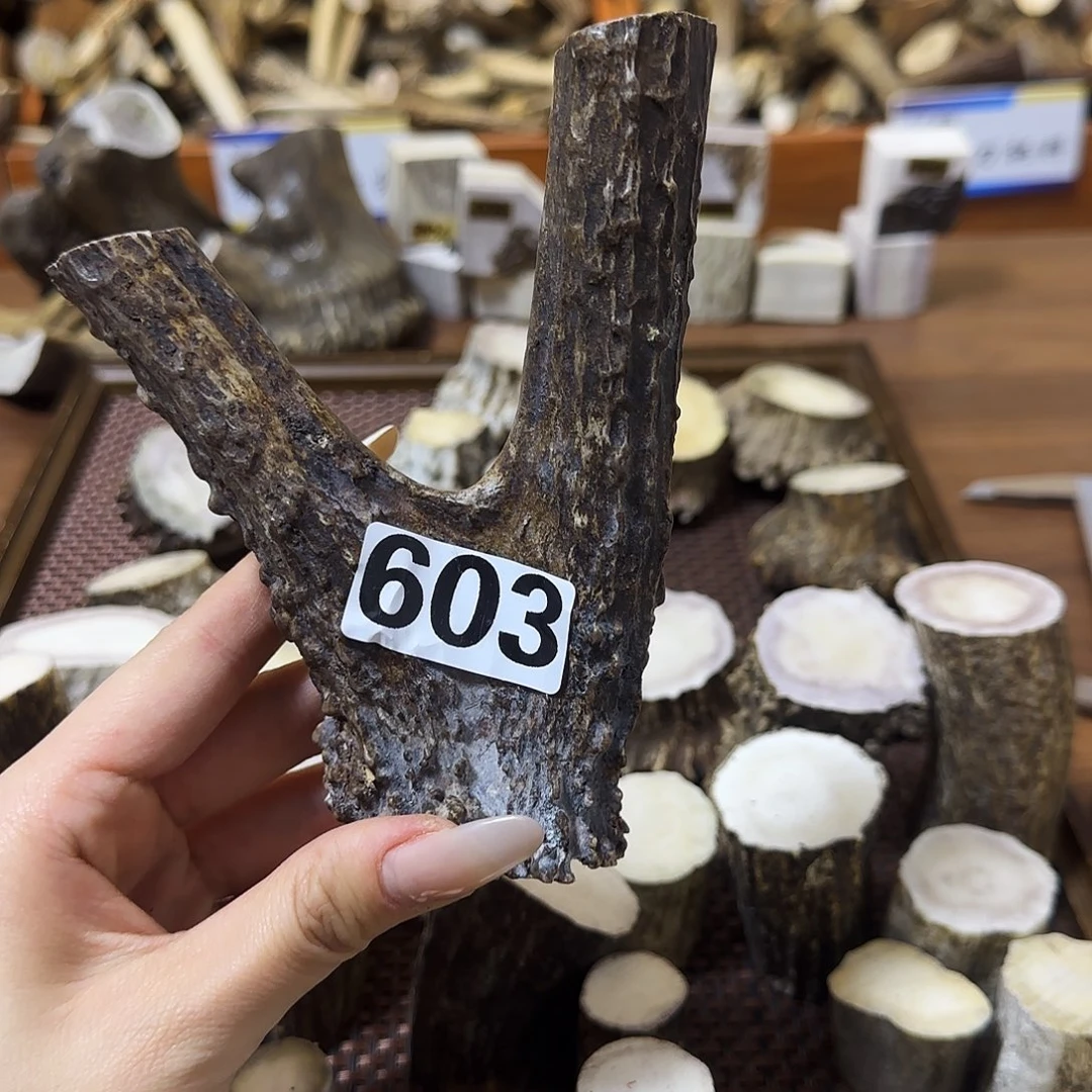 手串/手链鹿骨603弹弓