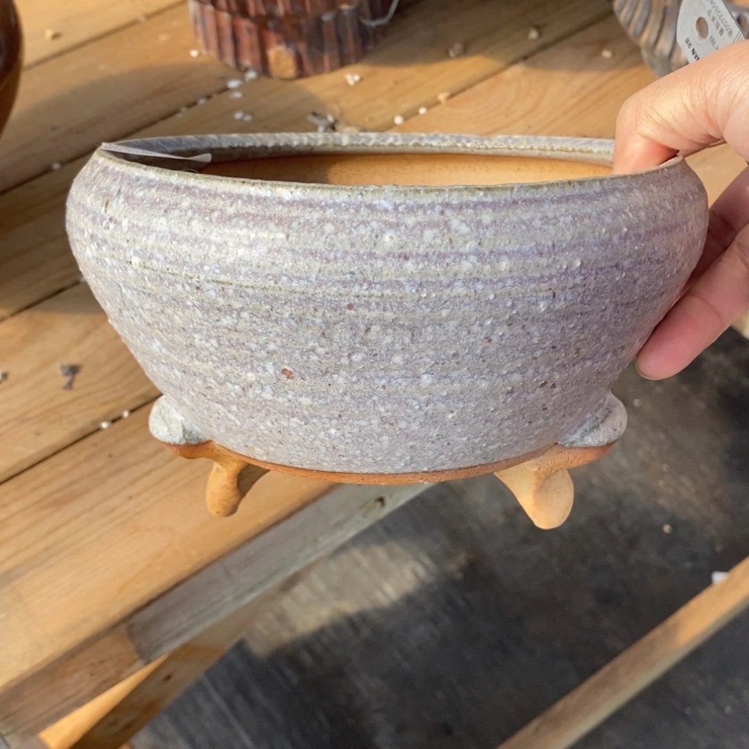 A***g1号多肉盆口径15高