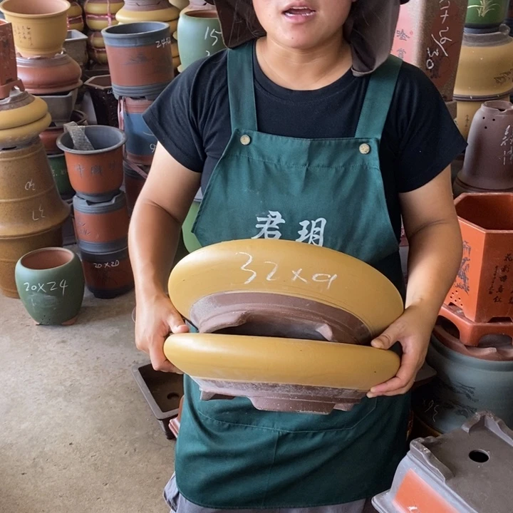 紫砂花盆盆栽花卉苗木