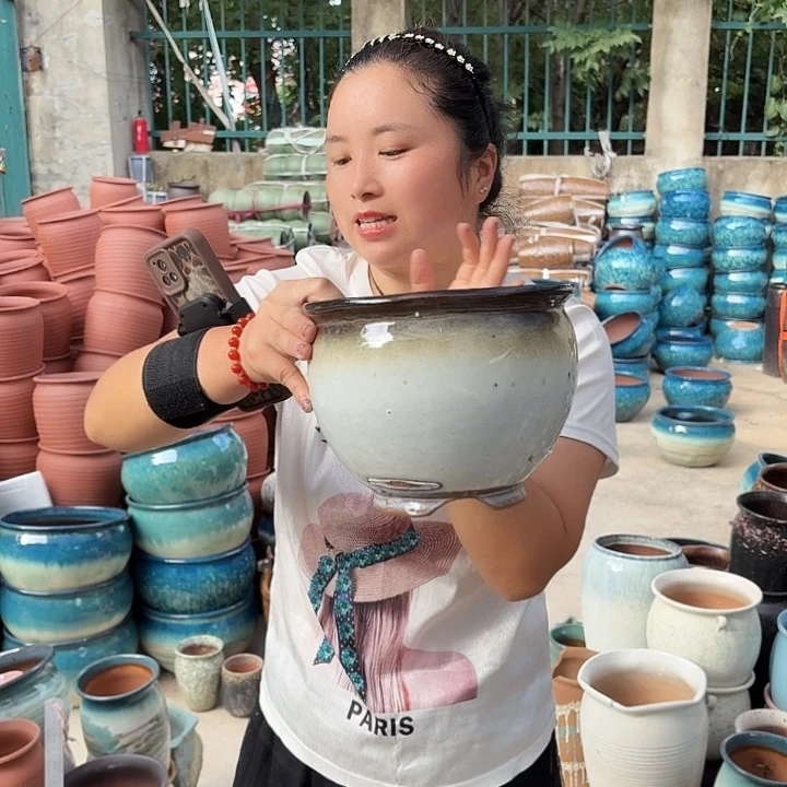 20/16瑕疵的一个盆