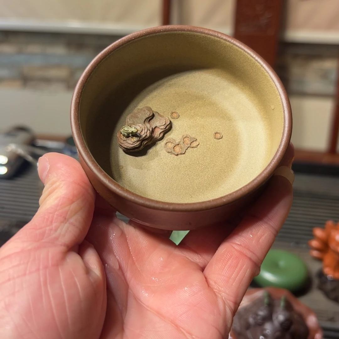 紫砂茶宠单品价格