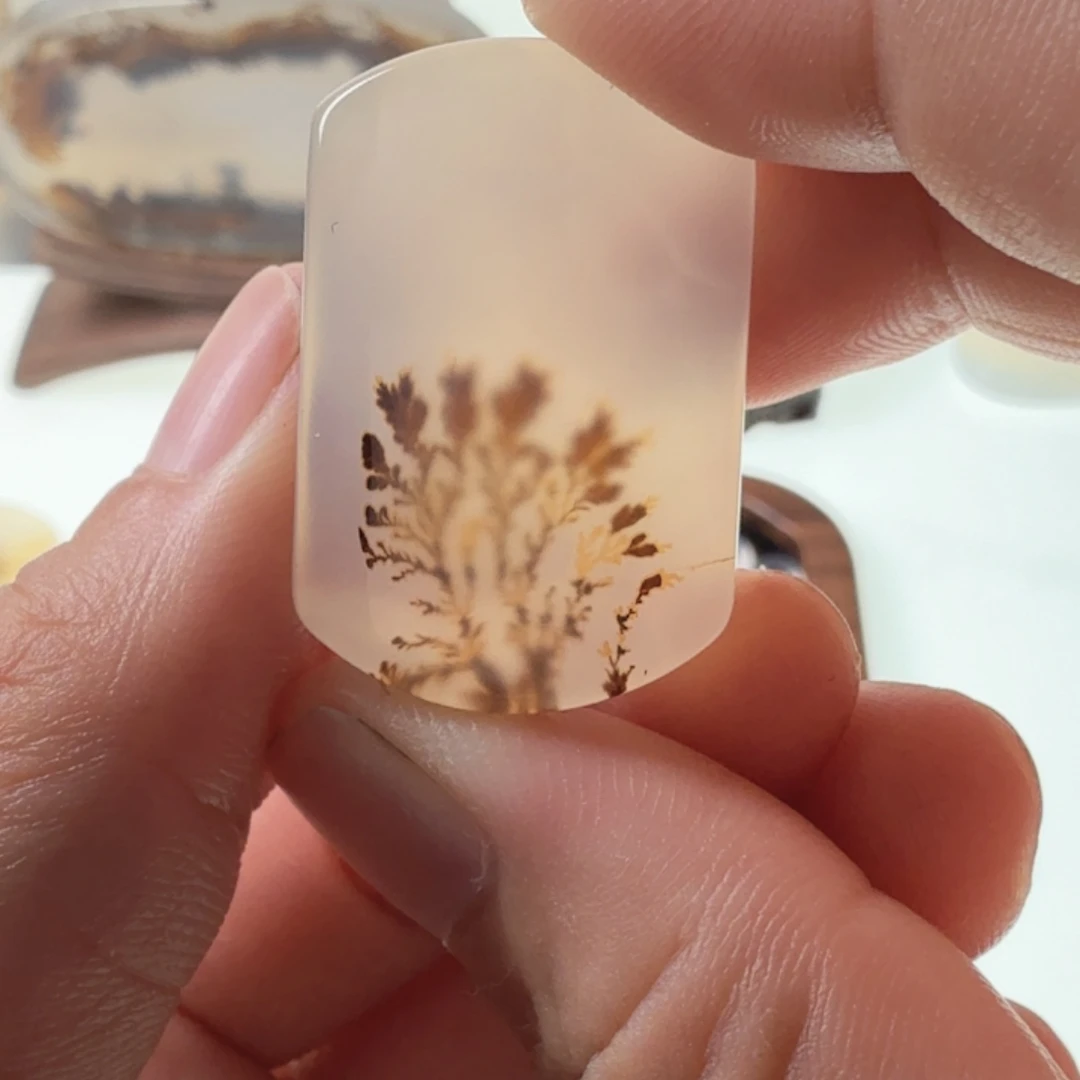 玛瑙/玉髓未镶嵌珠宝半成品