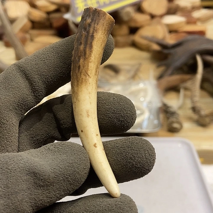 盃***镸大叶紫檀（黑酸枝木类）手把件