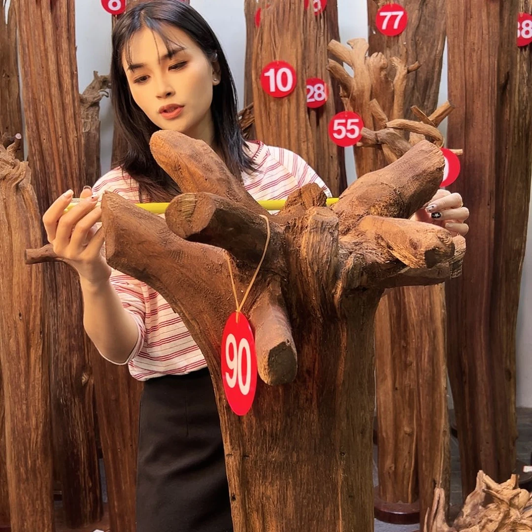 摆件沉香天然沉香原材料高品质