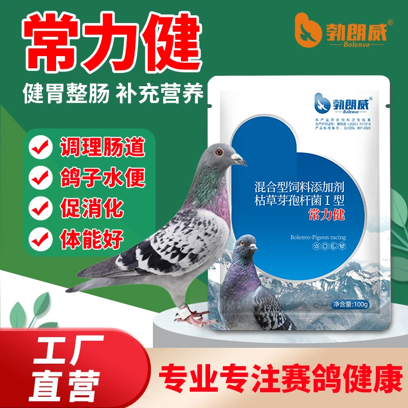 勃朗威鸽子护理肠道水绿便不成球型兑水拌粮信鸽赛鸽宠物鸟类用品