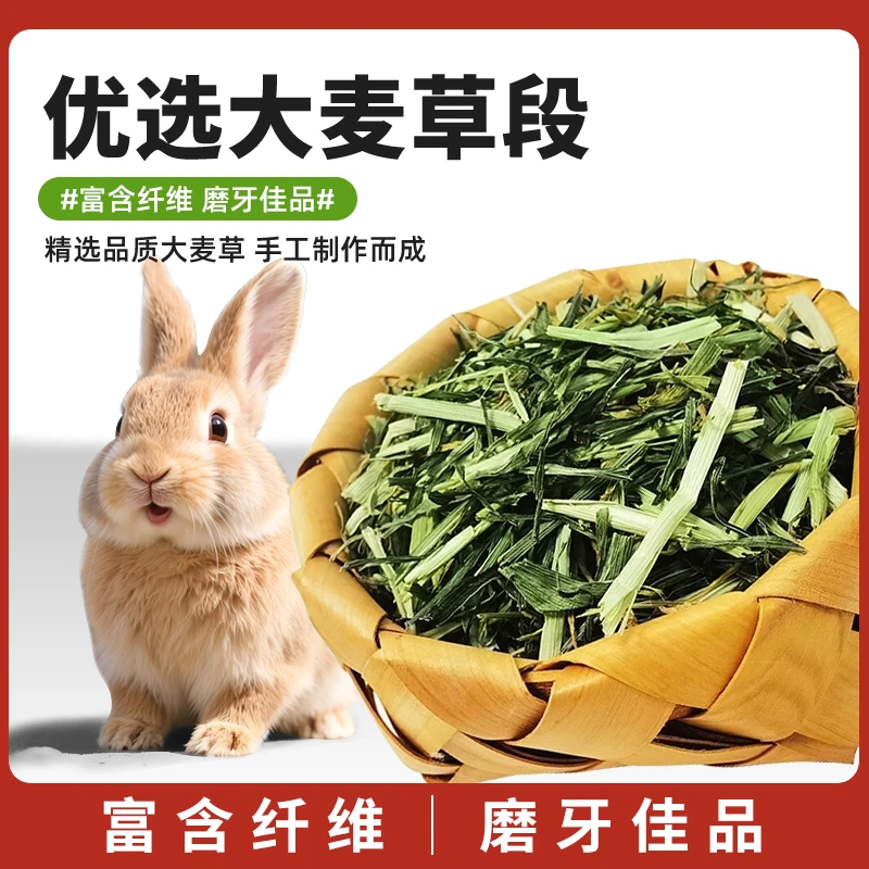 24年新大麦草段兔子龙猫豚鼠天竺鼠荷兰猪干草饲料大麦草段250G