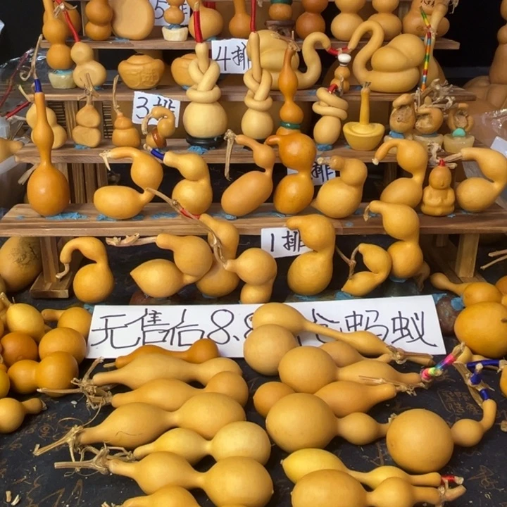 明***风蚂蚁森林里有个叫阿莫西林