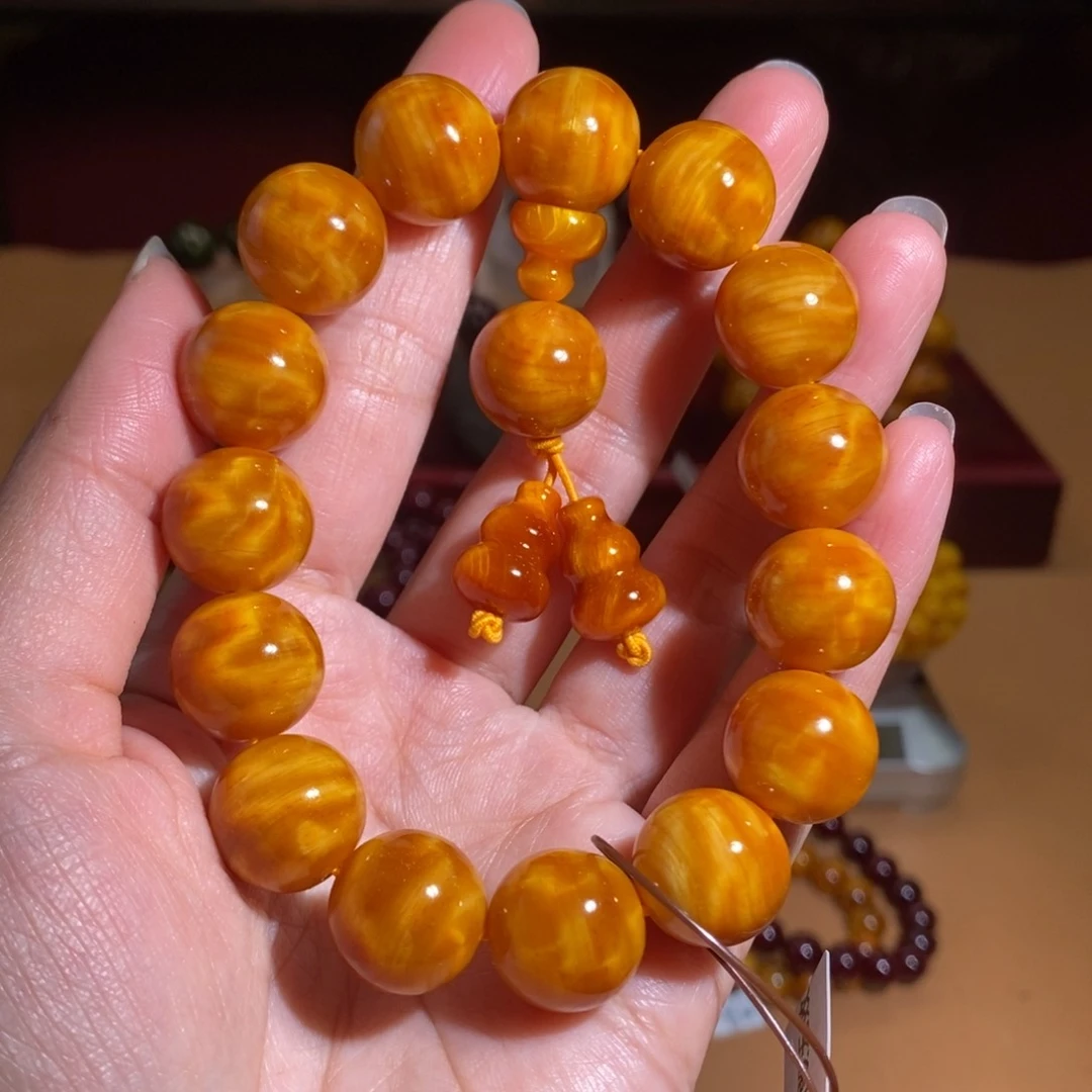 贝壳杉帝王血龙木1.5龙胆天花板