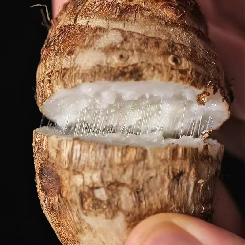 云南高山牛奶香芋芋头新鲜牛奶小芋头软糯香甜口感丝滑东方包邮