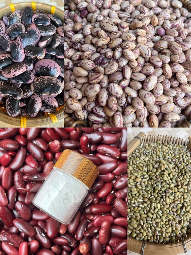 豆类土特BZ6 重量58克  可搭配珍珠粉