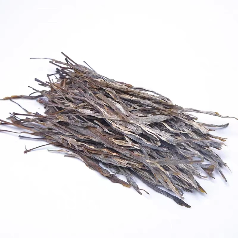 2025年【龙脊背理条生散】普洱茶理条生茶【支持开箱试喝】