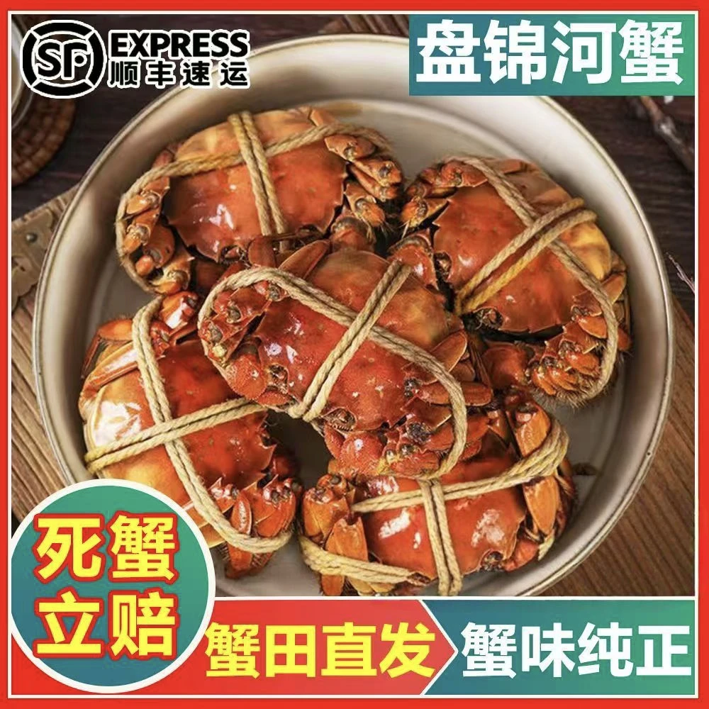 【活蟹】盘锦河蟹稻田蟹【母蟹】0.8-1.1两/只2/3斤
