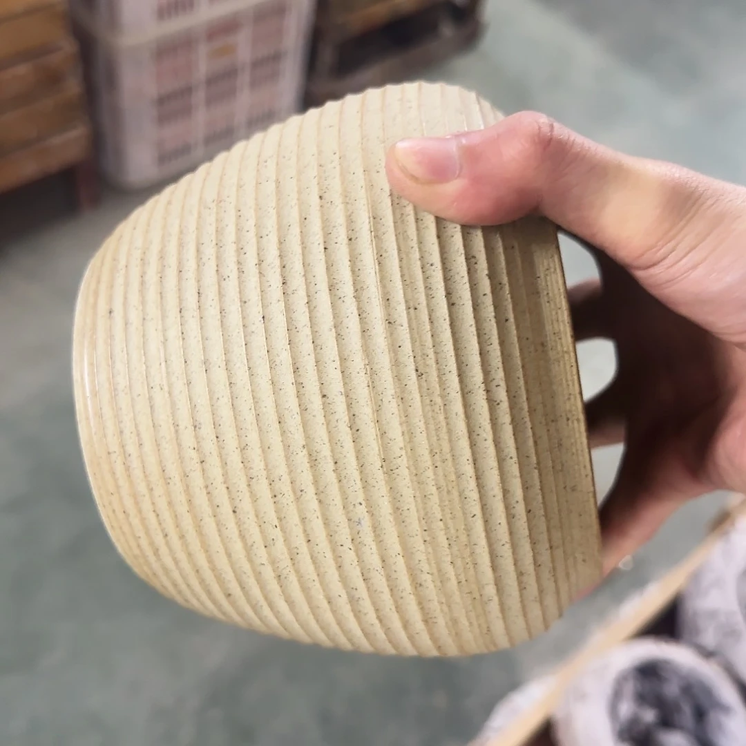 福利局绿植多肉盆［凑9元包邮24小时发］