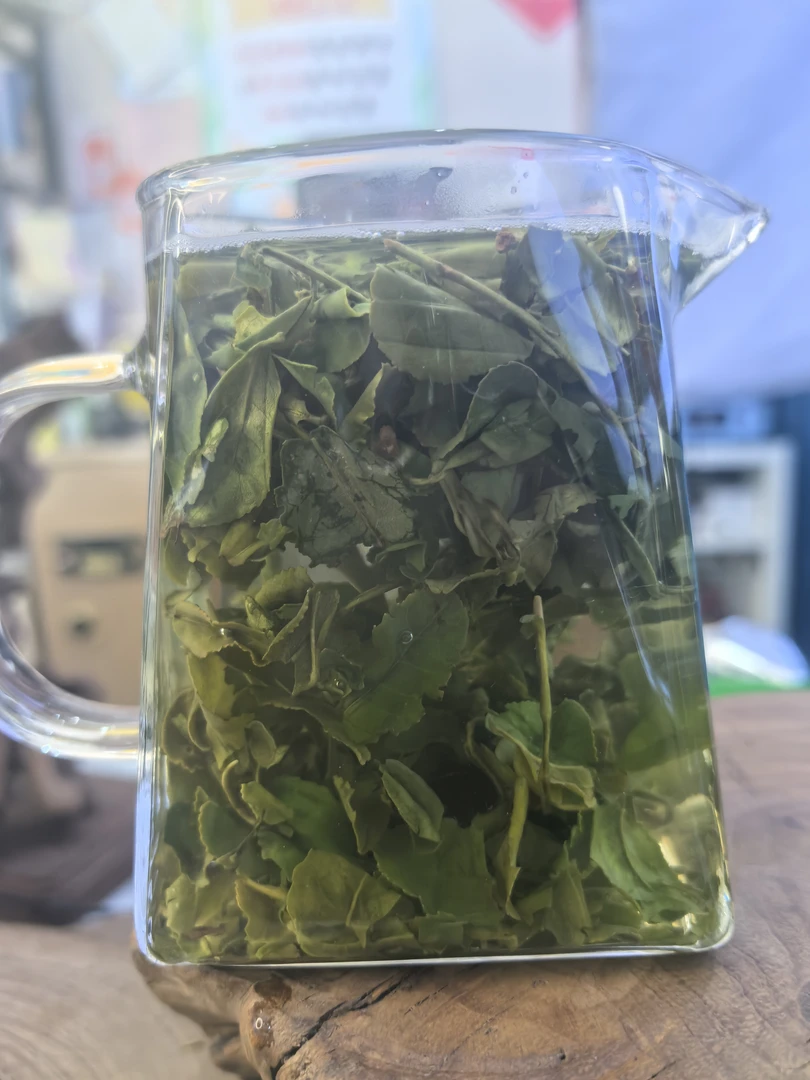 日照绿茶2025年新茶大叶茶，实惠到底！全网同品质性价比高