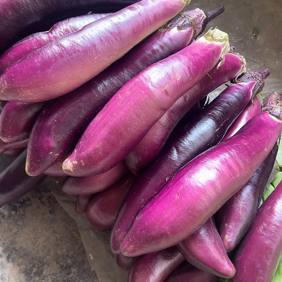 中国大陆农家茄子3斤