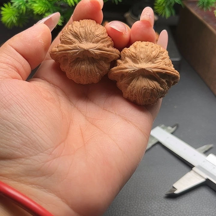 圳***阀核桃42战鼓全品核桃